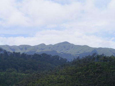 Grass Hills View