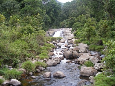 Nirardam Water Stream