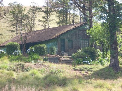 Trekking Shed Grass Hills