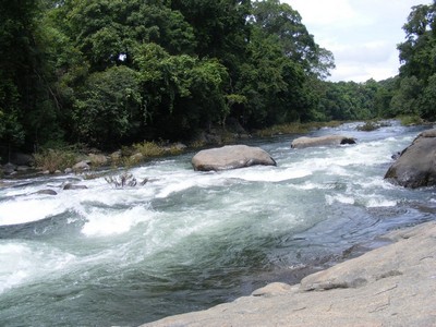 Water Streams